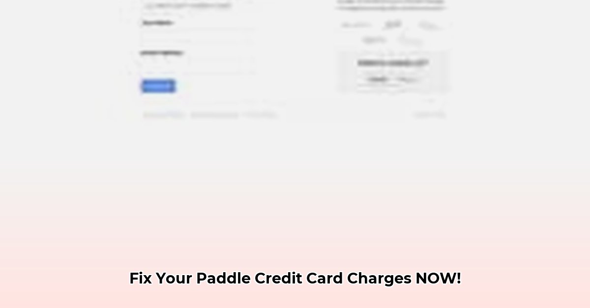 paddle-net-charge-on-credit-card